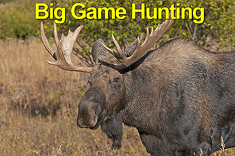 Big Game Hunting Charter Flights To Adventure